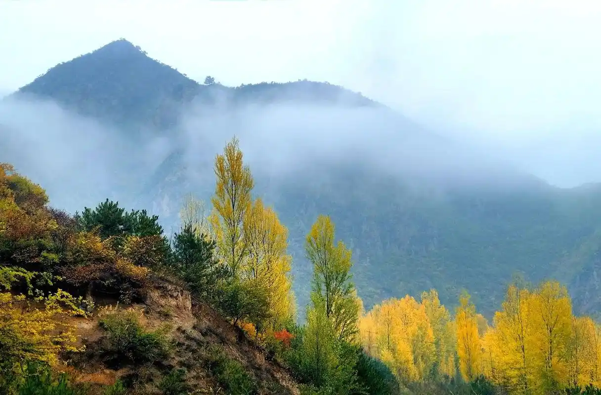 抓住秋天的尾巴!#手机随拍 #感受大自然的气息和美景 #秋 - 抖音