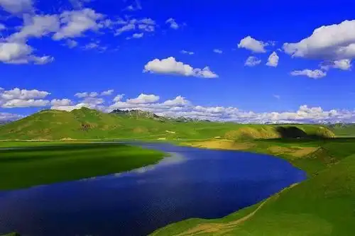 高山草甸巴音布鲁克草原