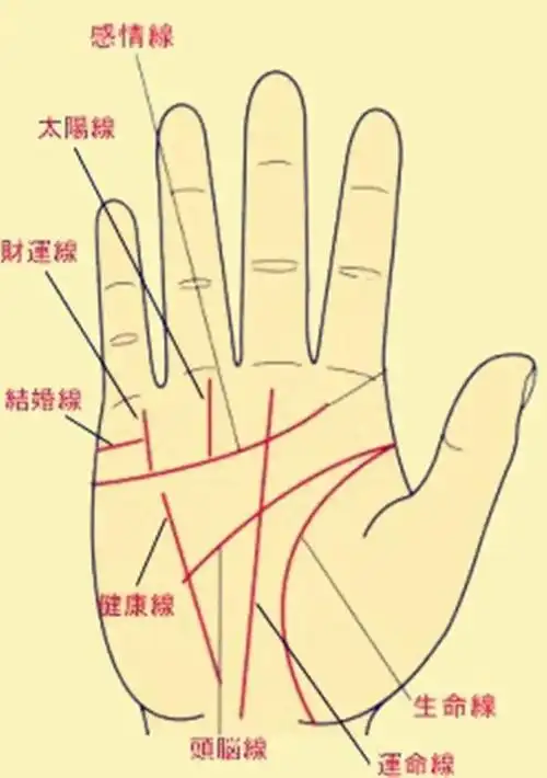 手相面相 吉祥风水网