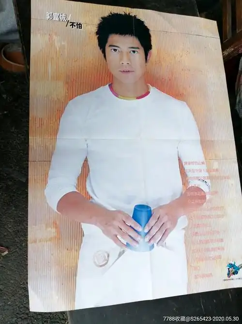 海报:郭富城不怕,当代歌坛内的海报