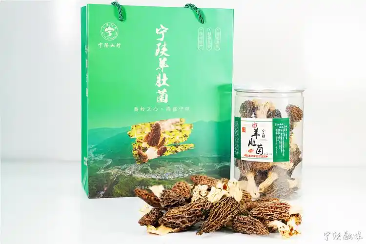 山珍佳肴一步一天地 一目一新潮这一次宁陕牵手重庆"渝"你相约请收下