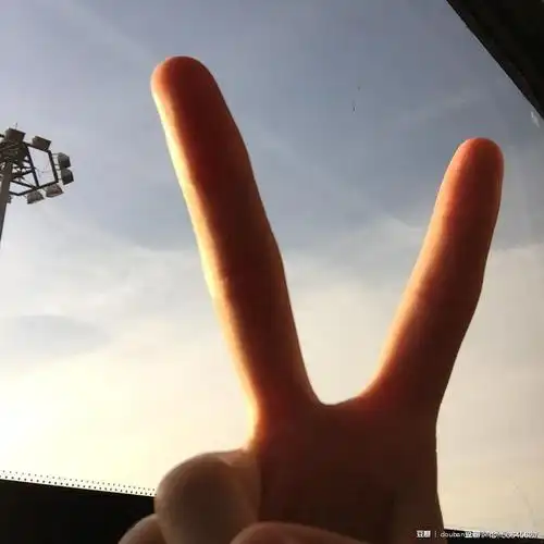 金子的相册-剪刀手