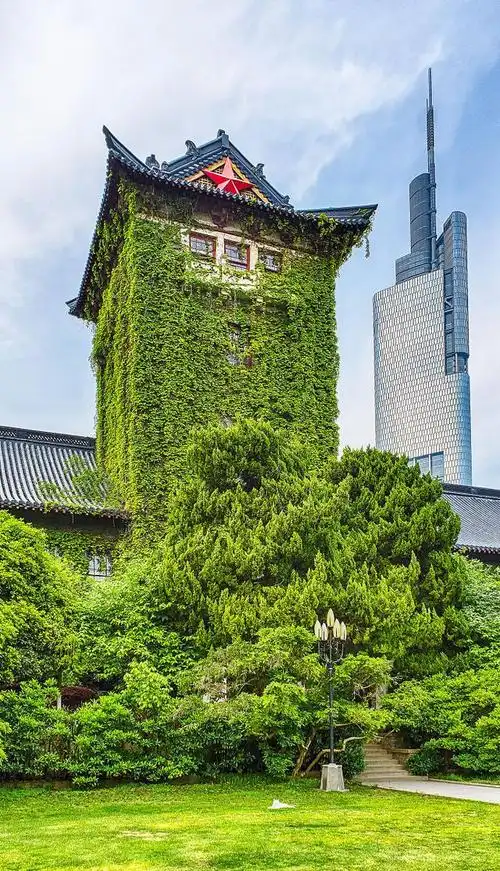 南京大学校园美景
