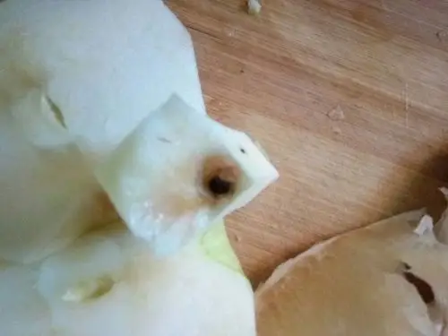 其实果核才是农药的回收站!大家记住呦!