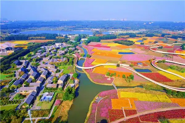 宿迁三台山邀你共赴一场与"花海"的约会_中国江苏网