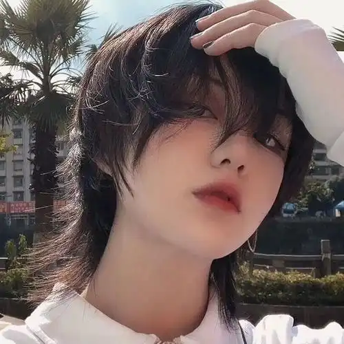 长度:短发适用人群:通用假发发型:短直发商品毛重:1.