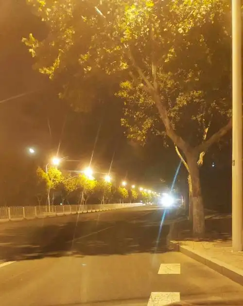 路灯夜晚的街道