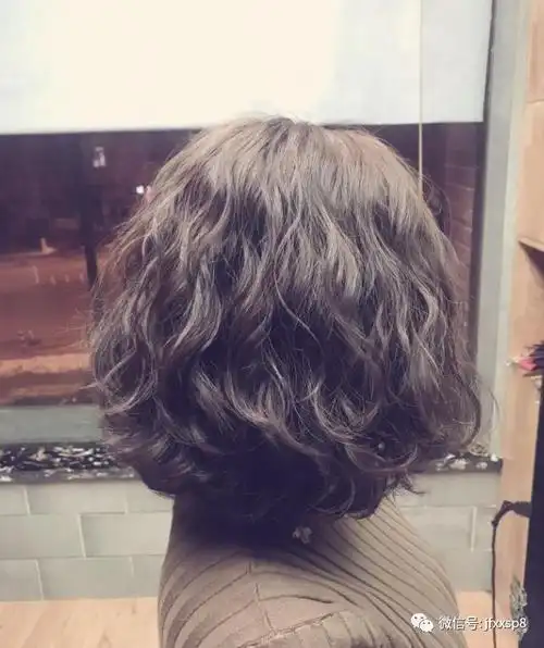 狗年流行"泰迪卷