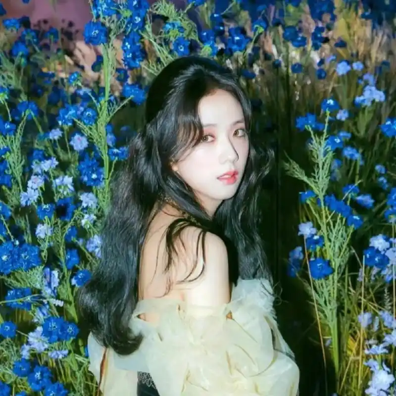 金智秀头像 『"车窗精灵"jisoo金智秀』🌷💤 秀秀好米🌄🍓 心