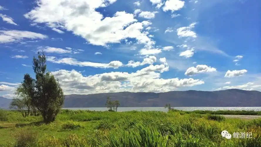 西南这条网红的环海公路风景随手拍都是壁纸