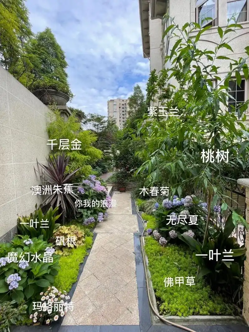 花园设计🏠|超全花园植物搭配分享🍃 菜地和花园的结合🌼🥬