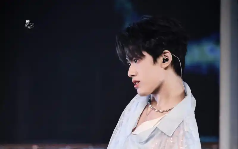 【tf家族张极】蝴蝶效应演唱会