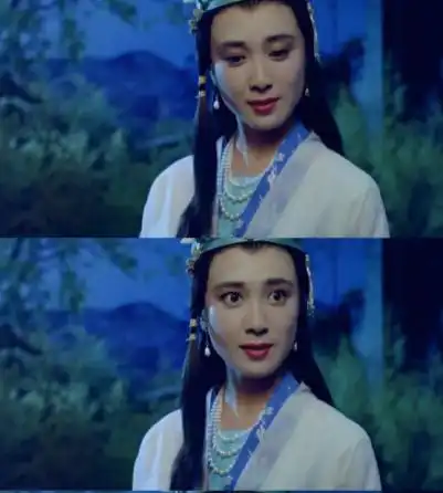 邢岷山饰演男主角,傅艺伟饰演鬼魂连锁,周迅饰演狐狸精,胡天鸽饰演聂