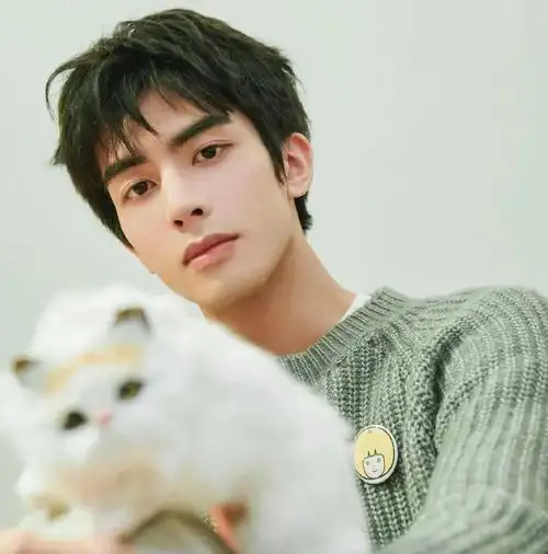 微信头像宋威龙