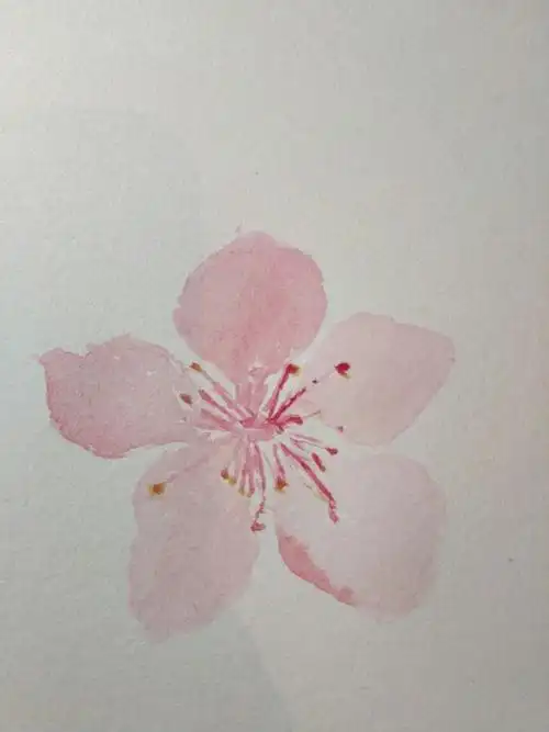 桃花 水彩