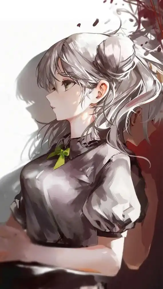 二次元壁纸 #动漫老婆 #动漫壁纸 #白银诺艾尔 - 抖音