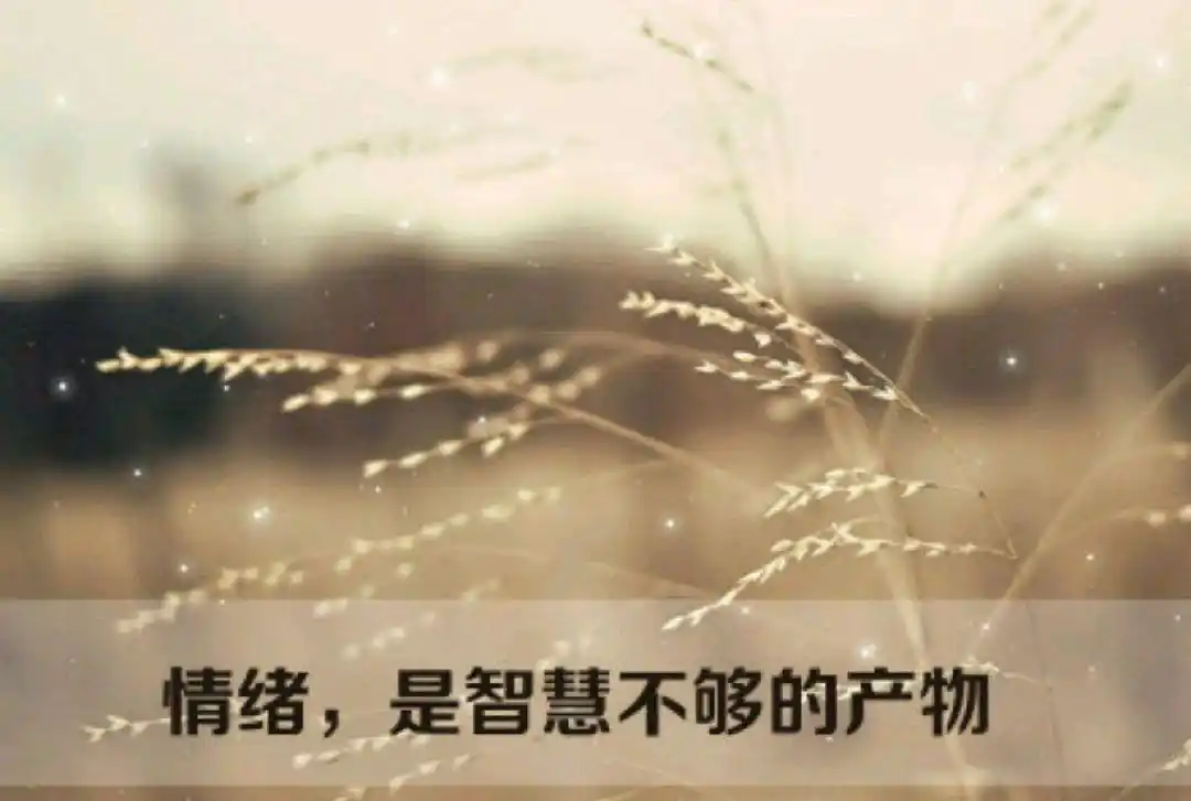 控制情绪是一种能力