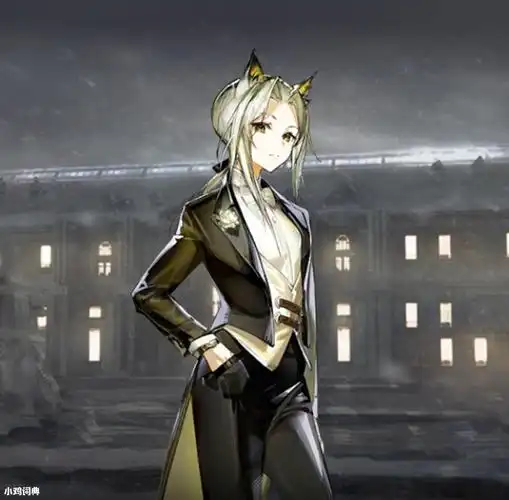 凯尔希你的女仆装是不是垫了