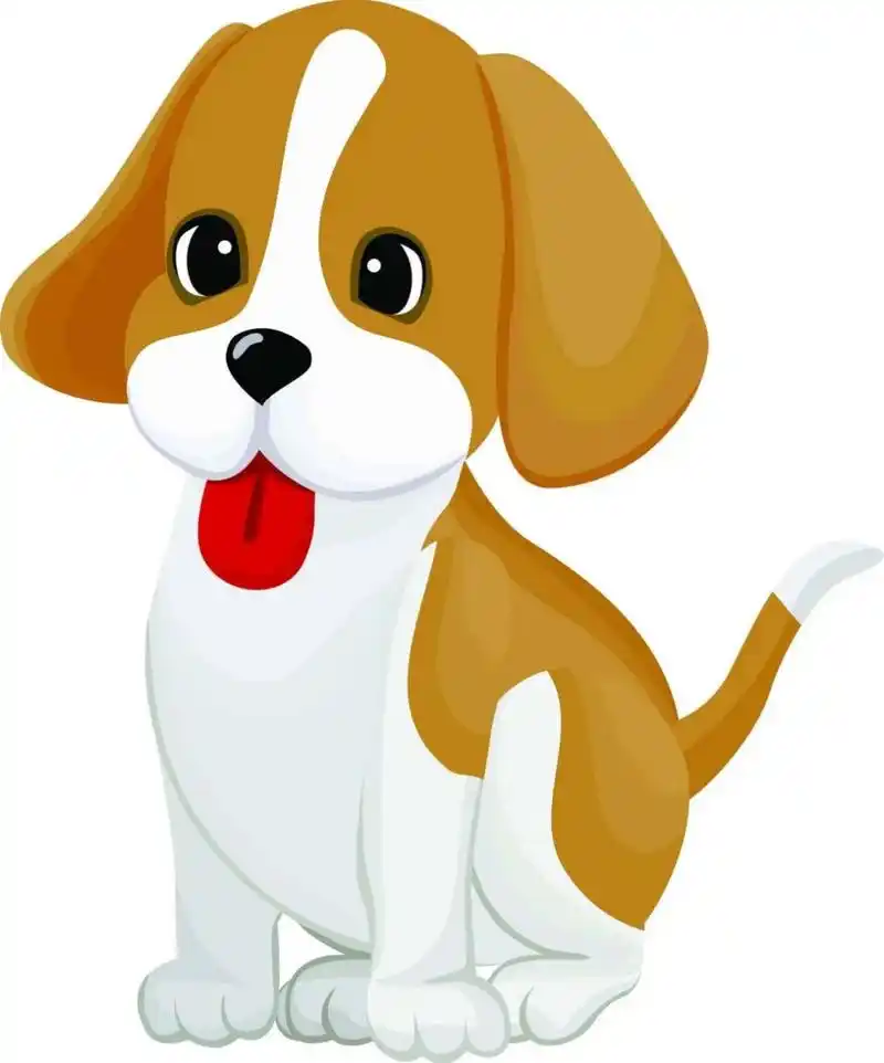 属狗的男性属相婚配表!