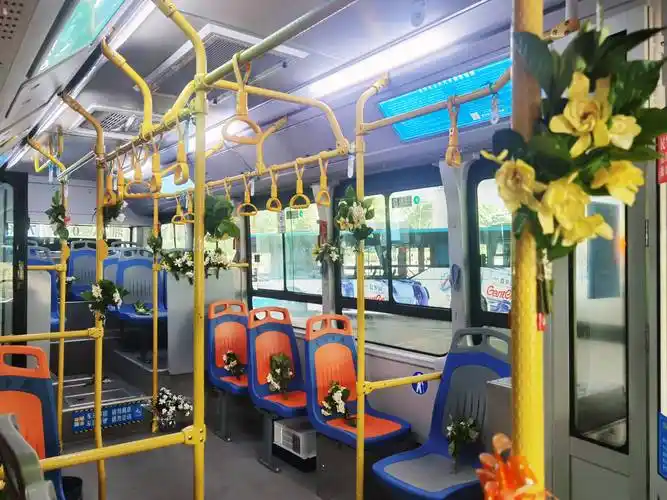 长沙公交变身"香车",乘客直呼"太浪漫了"!