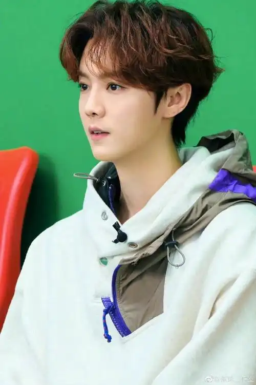 鹿晗侧颜随拍五宫格