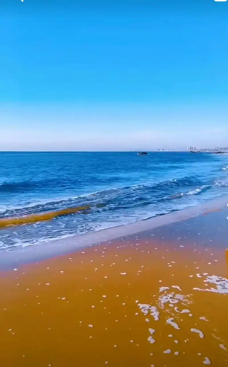 慢步在黄金海岸沙滩边上,听大海的声音,看海浪波涛汹涌,聆听海 - 抖音