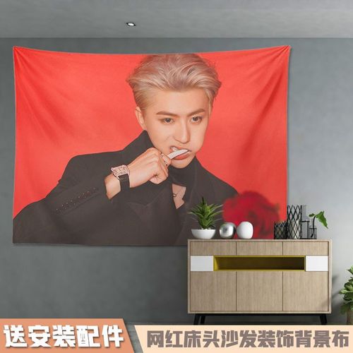 明星蔡徐坤周边背景布ikun房间挂布女生日礼物寝室墙布出租屋必备