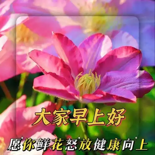 早上好祝福图片问候语