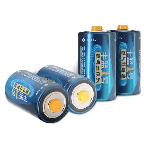 丰南大号电池1号燃气灶热水器手电筒电池 10节