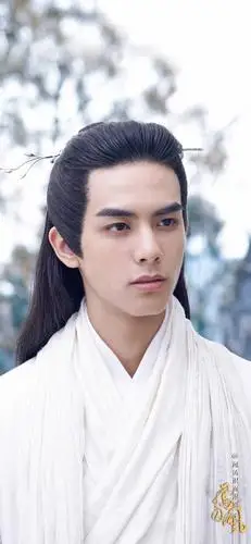 凤囚凰容止宋威龙