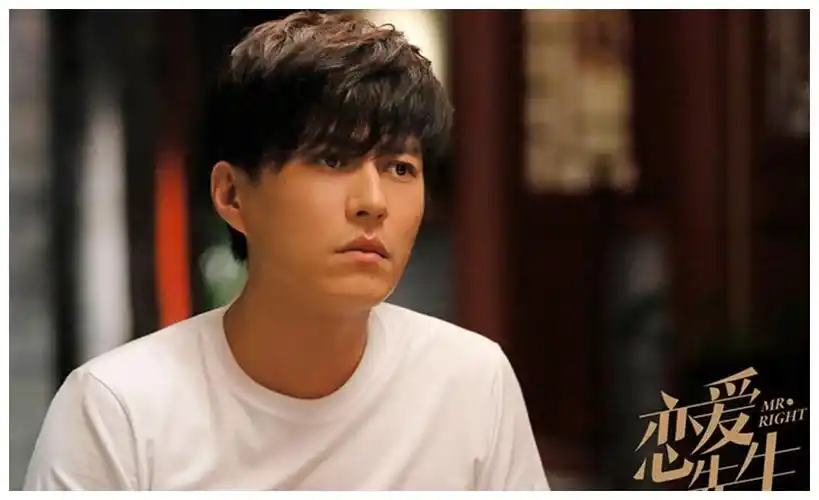 靳东五部优质电视剧盘点,新剧中饰演"村领导",最高评价是这部