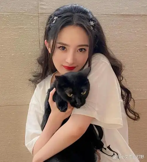 要说娱乐圈的女强人,杨幂绝对榜上有名.