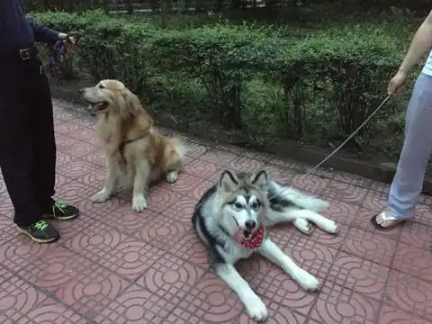 婆婆和老公都是奇葩