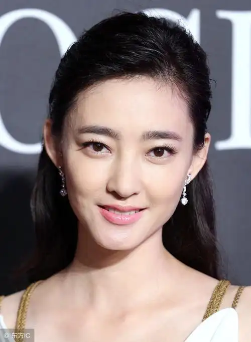 中国内地女演员王丽坤