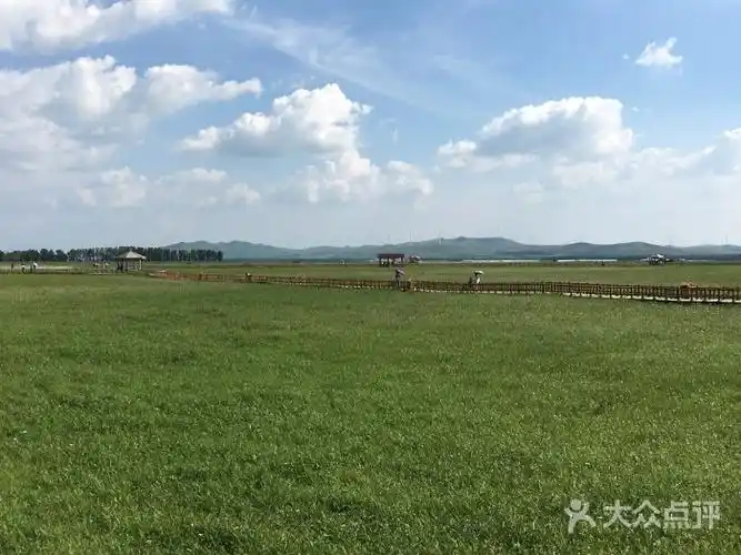 五花草甸-图片-沽源县周边游-大众点评网