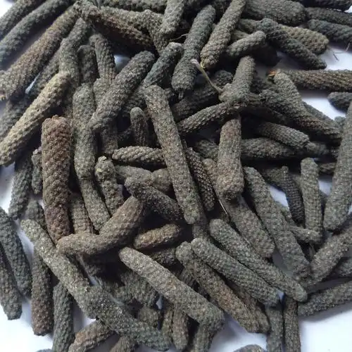 厂家长年供应优质绿色荜拨调味品厂家直销