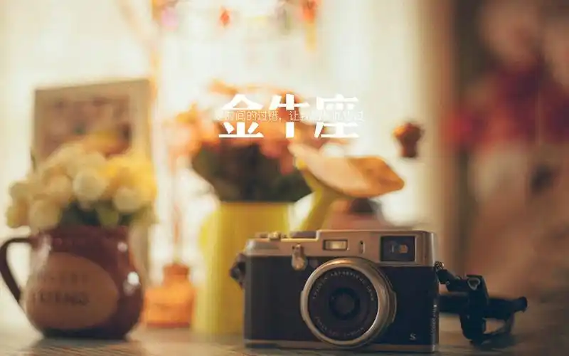 经典金牛座唯美语录文字图片桌面壁纸下载4