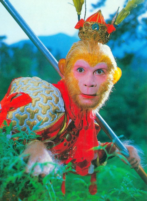 御绫军小灰 _ 哔哩哔哩相簿