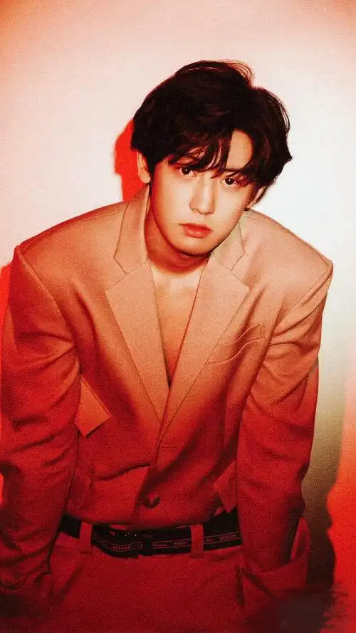 朴灿烈高清原图