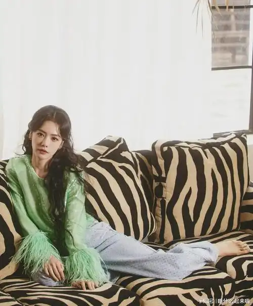 蔡文静精致面容背后的才华与沦陷之谜