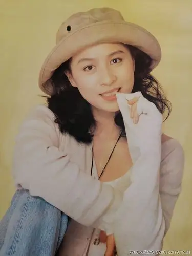 港台明星刘嘉玲