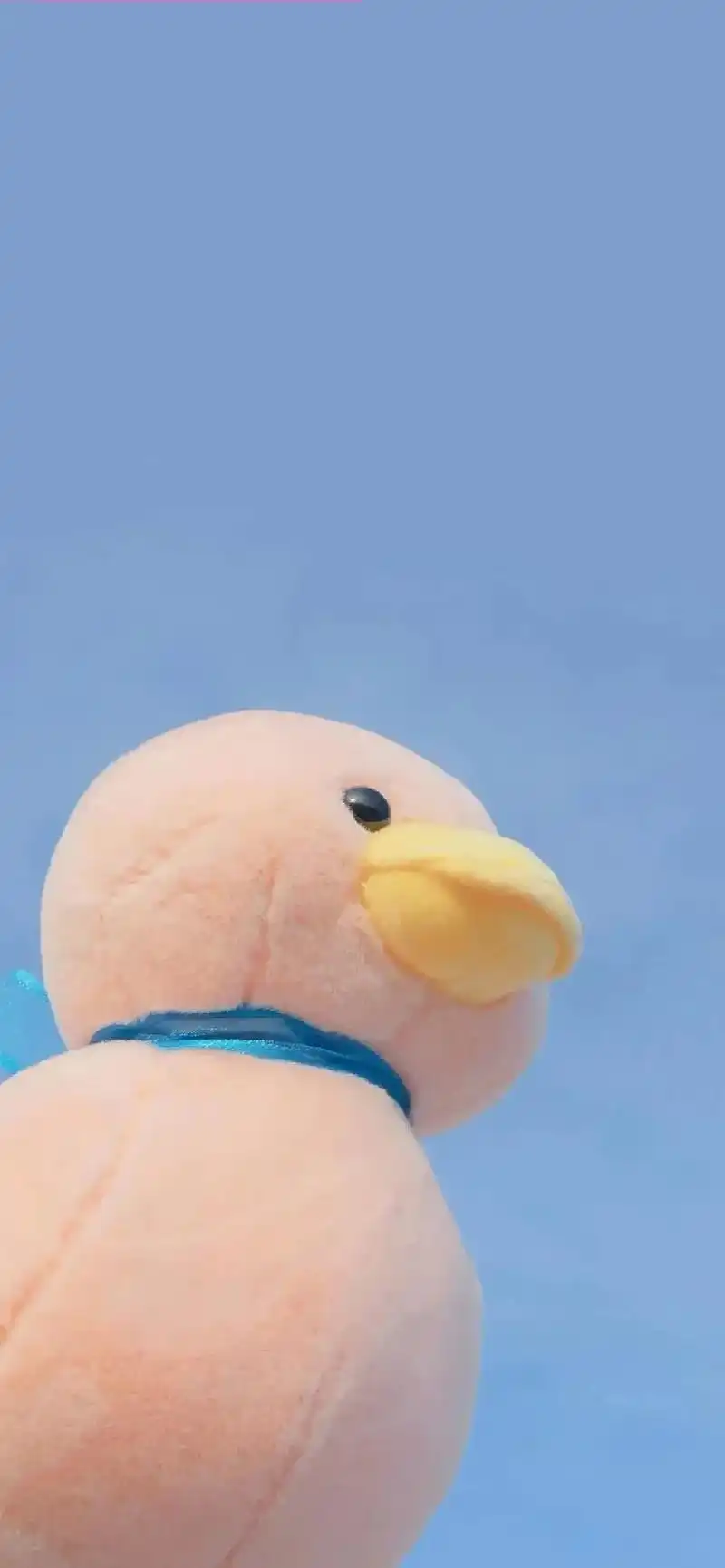 可爱壁纸.#治愈系壁纸 #壁纸 #锁屏壁纸 #壁纸背景图  - 抖音