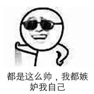 都是这么帅我都嫉妒我自己表情包素材斗图表情