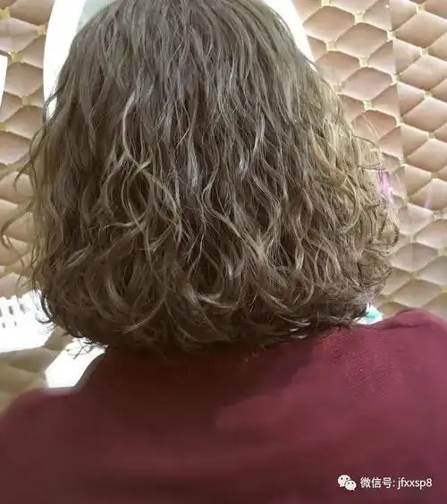 狗年流行"泰迪卷|泰迪|发型|毛发_新浪新闻