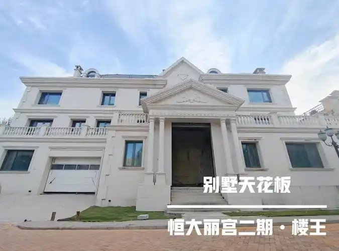 新出楼王恒大丽宫二期2500平