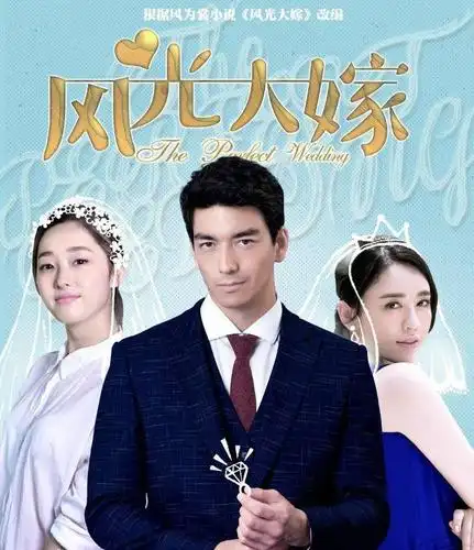 风光大嫁(电视剧原著小说)