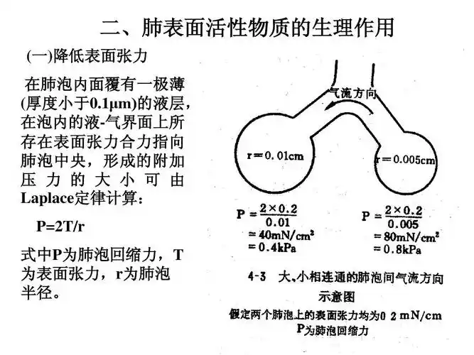式中p为肺泡回缩力,t 为表面张力,r为肺泡 半径.