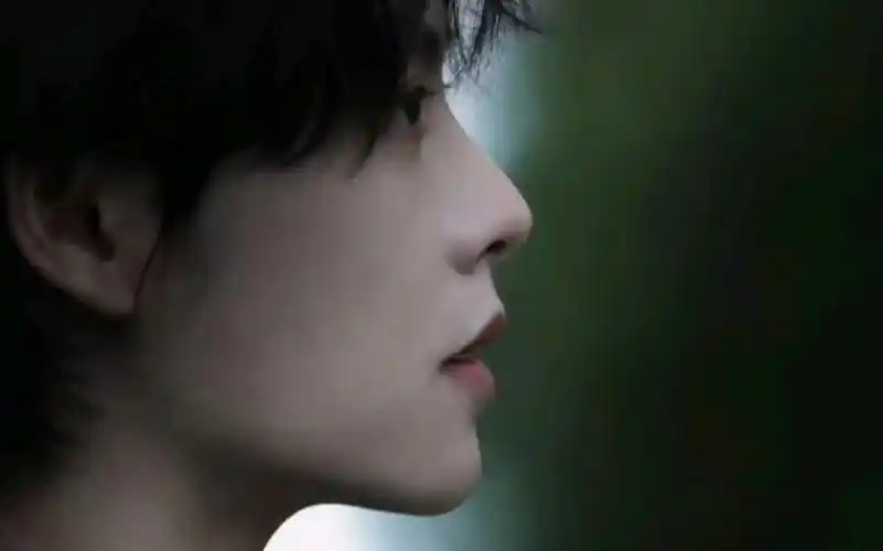 【肖宇梁】绝世侧颜(796779)