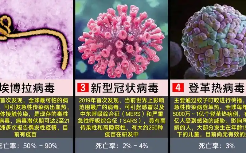 世界十大恐怖病毒,你都了解哪些?