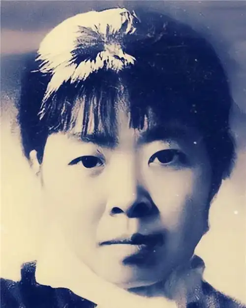 丁玲风雨中忆萧红